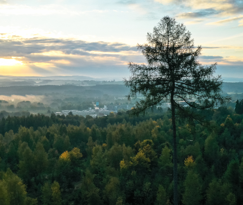 Fragen und Antworten zum Konzept - Bestattungswald Fichtelgebirge